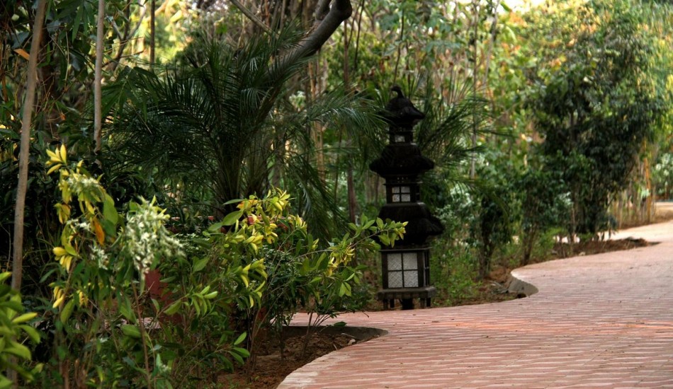 THE TREE HOUSE RESORT